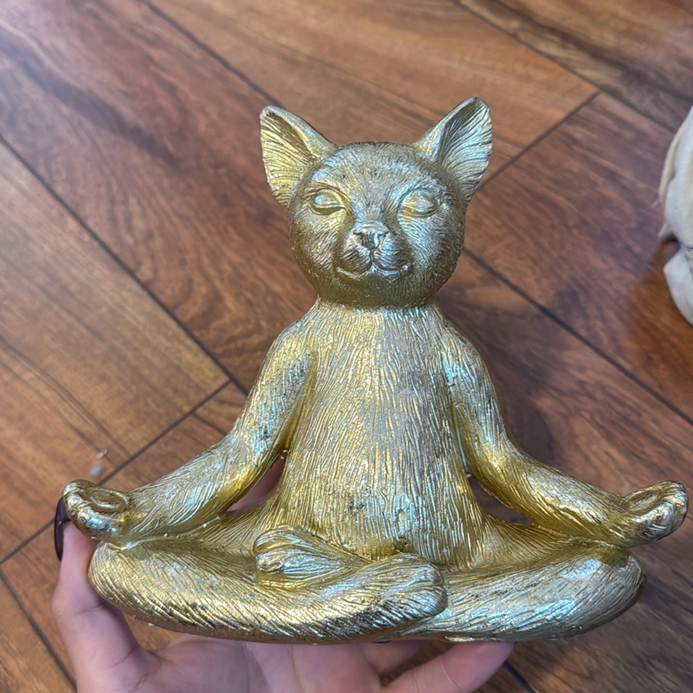 Cool cat room decor